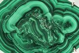 Vibrant Green Malachite Pendant - Sterling Silver #206307-1
